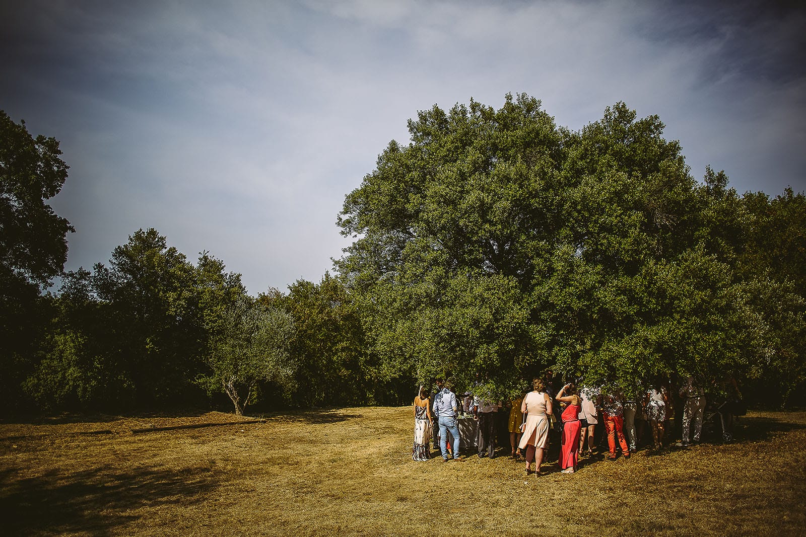 Mariage au Comptoir Saint Hilaire. Vin d'honneur sous un arbre à cause de la chaleur