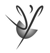 Photographe mariage Lyon