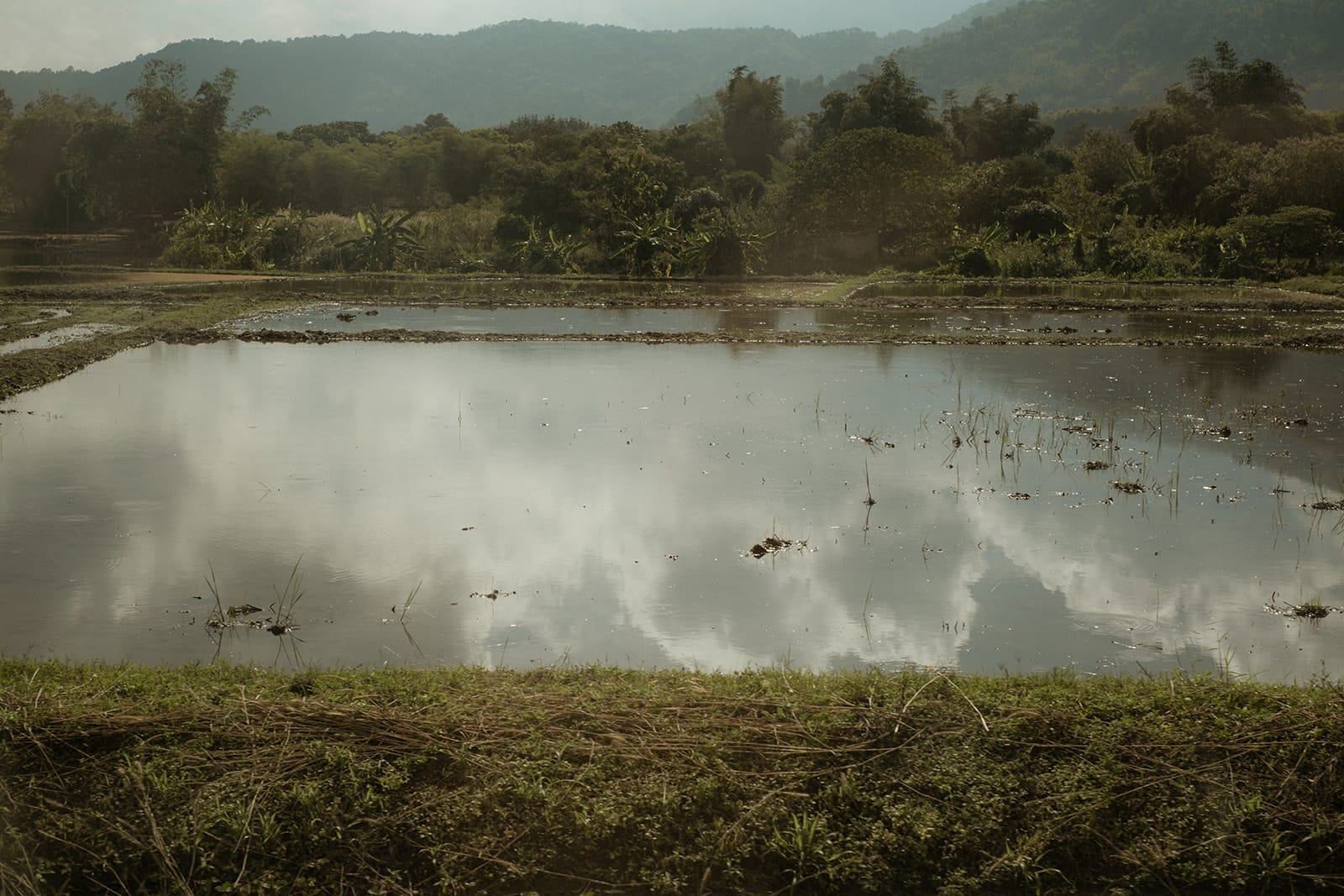 Paysage tropical avec une rizière reflétant le ciel et les nuages, entourée de montagnes verdoyantes.